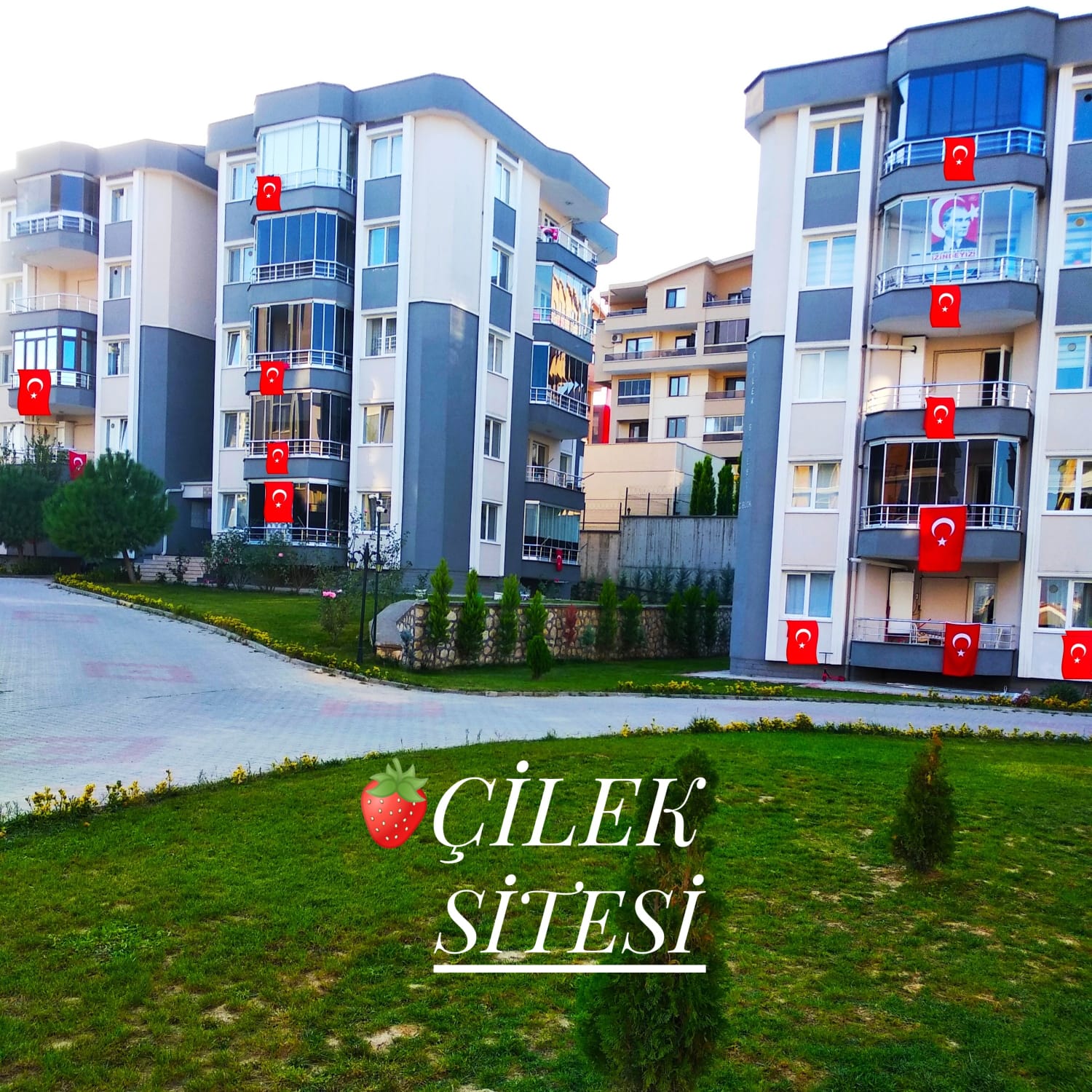 Çilek Sitesi